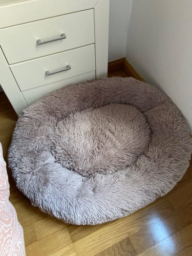 Round Plush Calming Dog Bed Donut-Style Anti-Anxiety Faux Fur Self-Warming photo review
