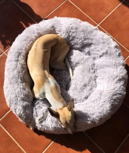 Round Plush Calming Dog Bed Donut-Style Anti-Anxiety Faux Fur Self-Warming photo review