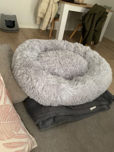 Round Plush Calming Dog Bed Donut-Style Anti-Anxiety Faux Fur Self-Warming photo review
