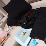 Round Plush Calming Dog Bed Donut-Style Anti-Anxiety Faux Fur Self-Warming photo review