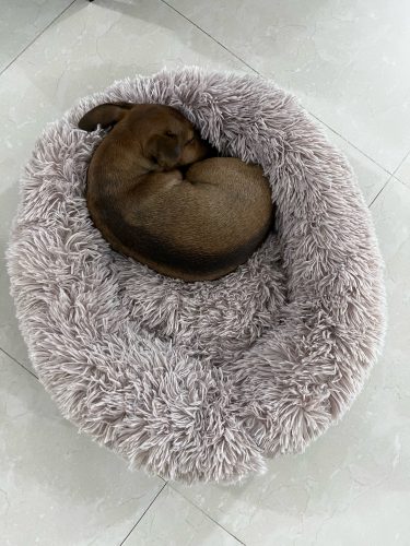 Round Plush Calming Dog Bed Donut-Style Anti-Anxiety Faux Fur Self-Warming photo review