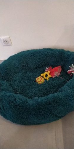 Round Plush Calming Dog Bed Donut-Style Anti-Anxiety Faux Fur Self-Warming photo review