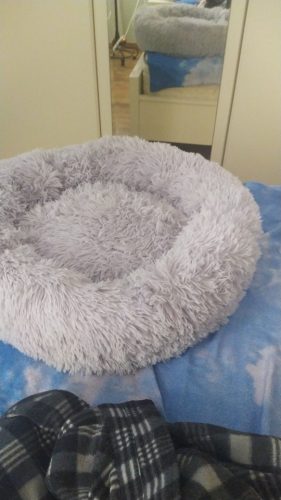 Round Plush Calming Dog Bed Donut-Style Anti-Anxiety Faux Fur Self-Warming photo review